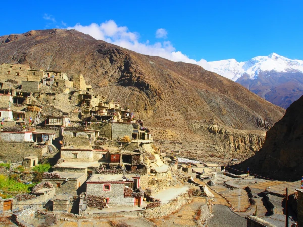 Mustang naarphu saribung 